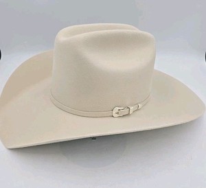 Bailey Beaver Hat | eBay