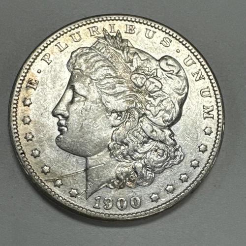 1900-S $1 Morgan Silver Dollar XF Details Scratched.