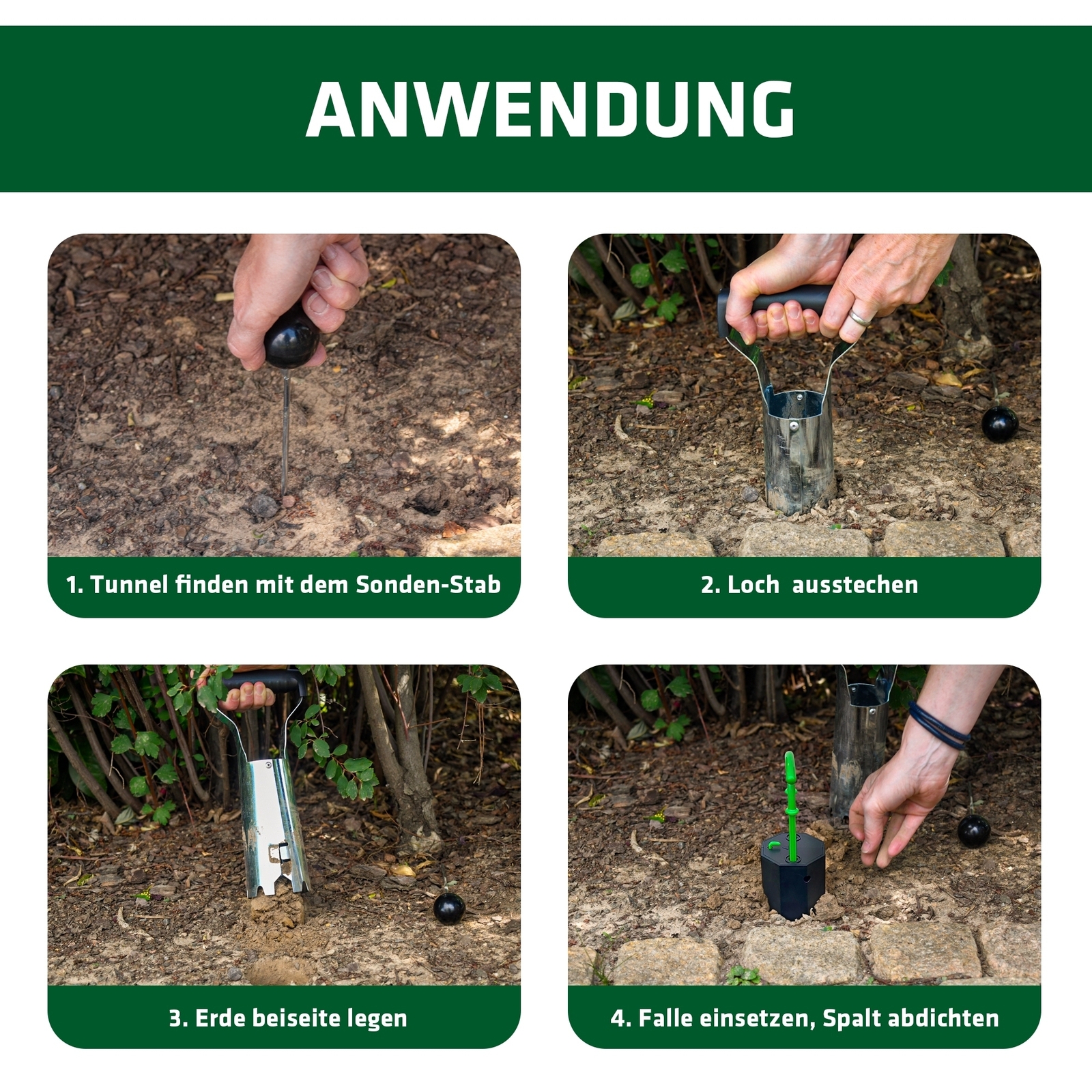 Bild 3 von 6