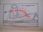 Foto 10 di 11