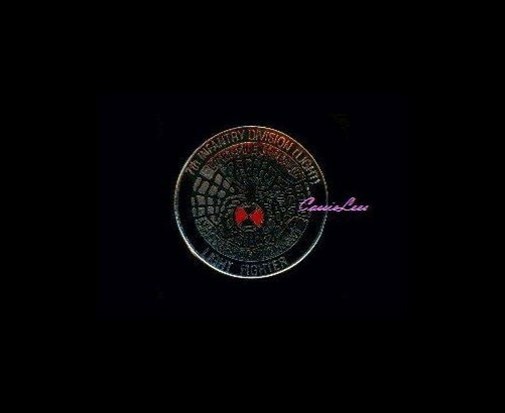 USA 7th Light Inf. + a custom promo pin