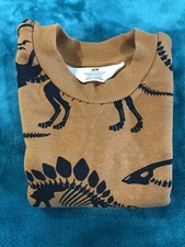 kids Dinosaur sweater Design 2T