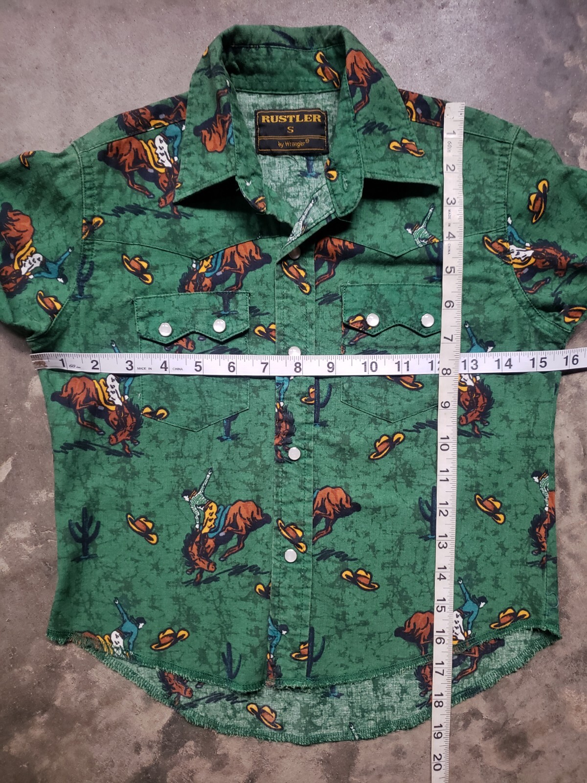 Picture 6 of 19