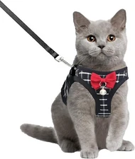 Escape-Proof Cat Harness and Leash Set – Breathable Adjustable Mesh Pet Harness 