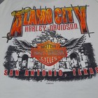 Picture 4 of 13