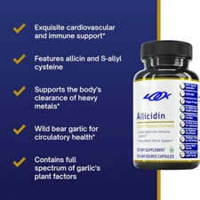 Garlic supplement - 60 capsules of pure vegetarian capsules 