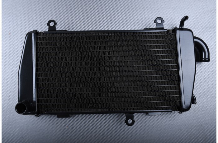 Radiateur de refroidissement gauche pour moto Honda Goldwing GL1800 de 2001 à 2005