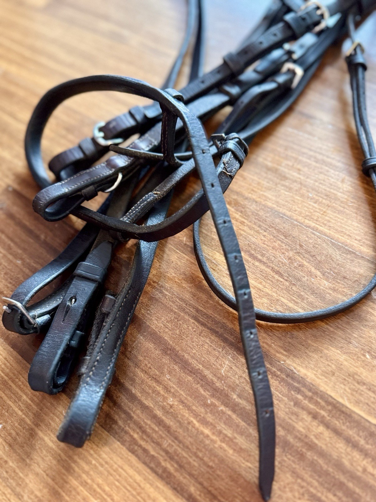 GATSBY Cob Fancy Stitched Bridle With Laced Reins Great Used Condition