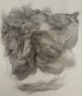 3oz Rare Premium Plucked Gray Sable French Angora Luxury Spinning Fiber (C48) — photo 1