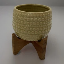 Flora Bunda Style Ceramic Hobnail Planter With Wooden Stand 6”