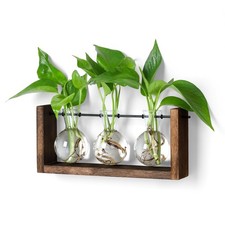 "Wall Hanging Planter Propagation Station for Hydroponics and Home Decor"
