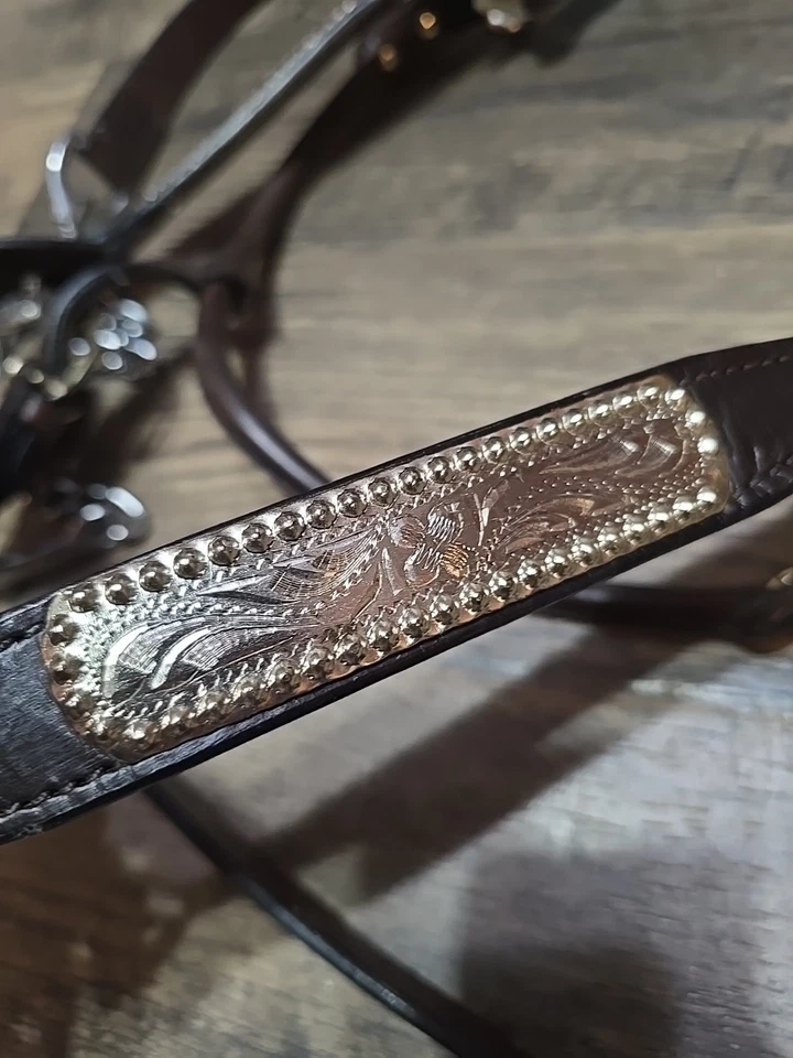 western show halter horse - Image 2 of 4