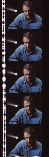Jurassic Park 35mm Film Cell strip very Rare var_a - Picture 85 of 132