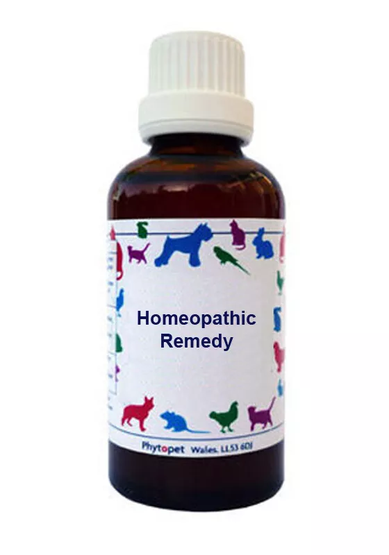 Homeopathic treatment for kennel cough sales