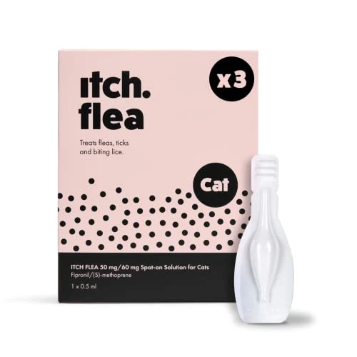 Itch flea 2025