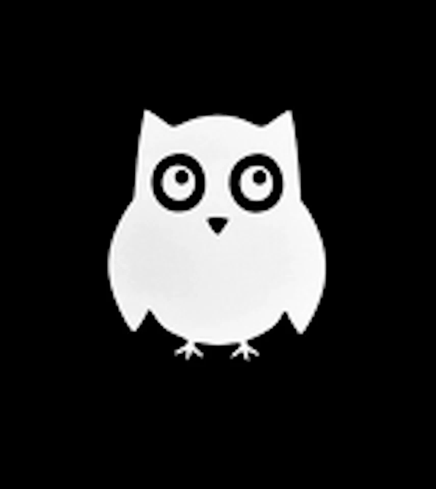 Bügelbild reflektierend Eule Uhu Hotfix Applikation Aufbügler Sicherheit Kinder - Bild 4 von 4