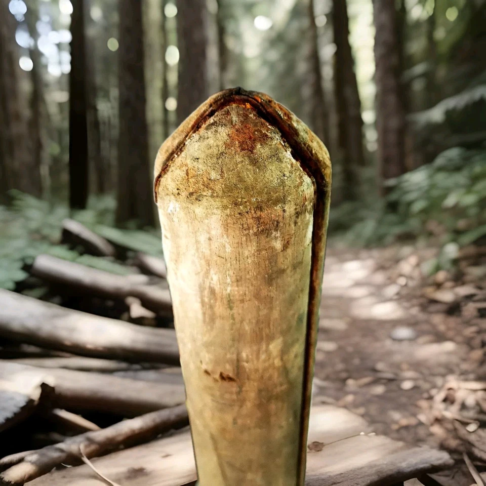 Trípode de teodolito victoriano madera inglesa soporte ideal lámpara soporte 153 cm aprox Foto 4 de 4