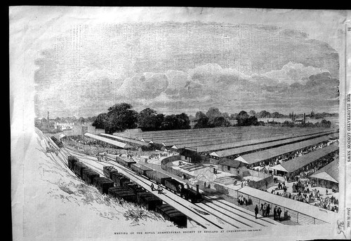 Original Old Antique Print 1856 Royal Agricultural Society England Chelmsford