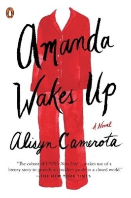 Alisyn Camerota Amanda Wakes Up (Taschenbuch)
