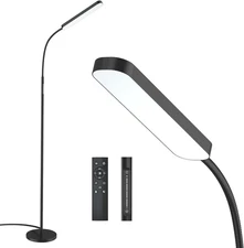 Floor Lamp -Wiomio Led Floor Lamp with Remote and Touch Control for Stepless Dim