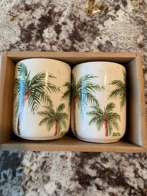 outdoor palm plant Areca Palm