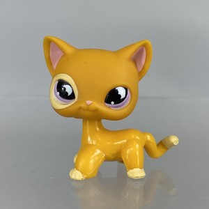 lps orange cat