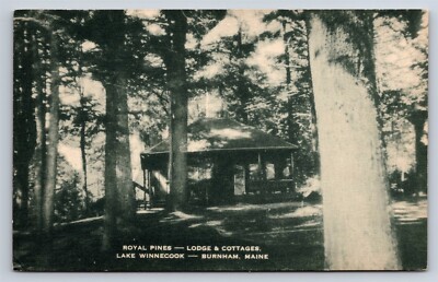 Postcard ME Burnham Maine Royal Pines Lodge Cottages Lake Winnecook c1930s 2C47