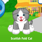 Webkinz Scottish Fold Cat Virtual Pet Adoption Code Only Messaged Webkinz Promo!