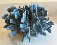 Natural Blue Ridge Coral-9"W x 5"H x 8"D-2 lb. 4 oz.- B8- Vibrant Color