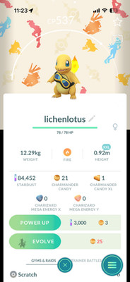 Pokémon Shiny Charmander Wearing Friede's Goggles XXL *2026 New Release*