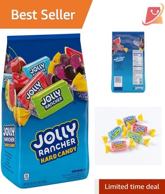 Individually Wrapped 5 lb Hard Candy Bulk Bag - Variety of Classic Fruit Flavors