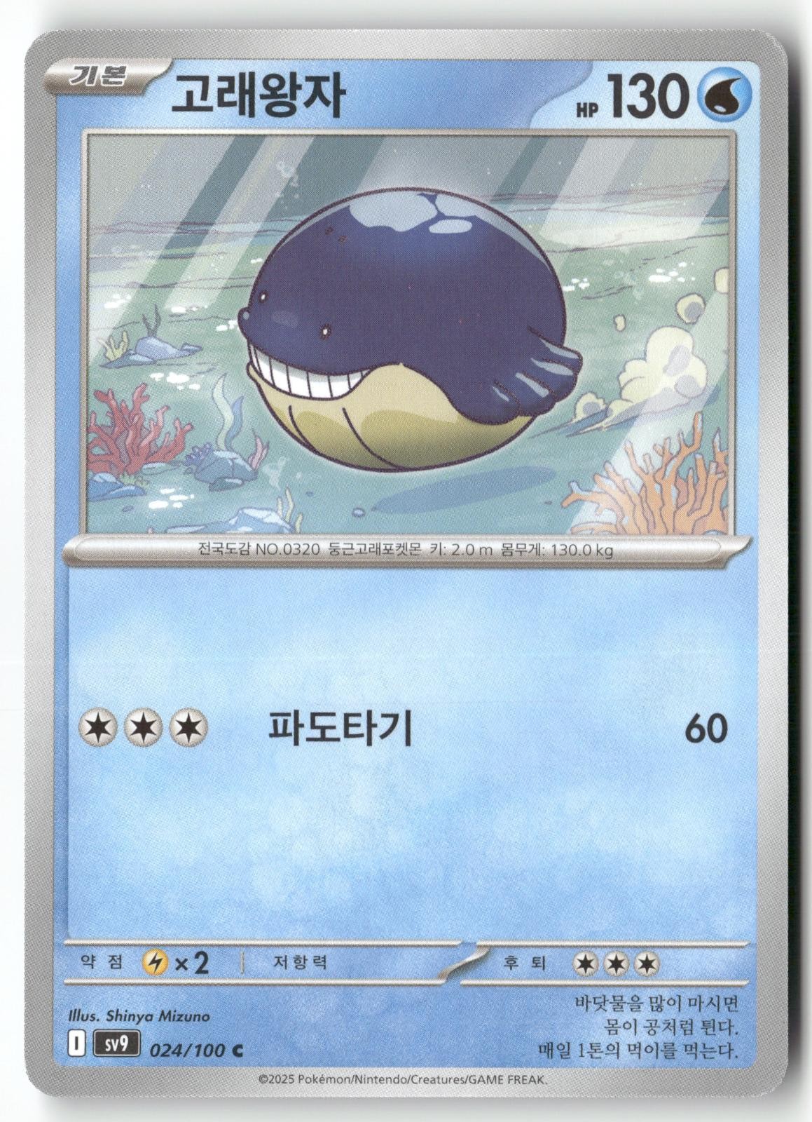 Wailmer 024/100 Pokemon Korean Battle Partners 2025