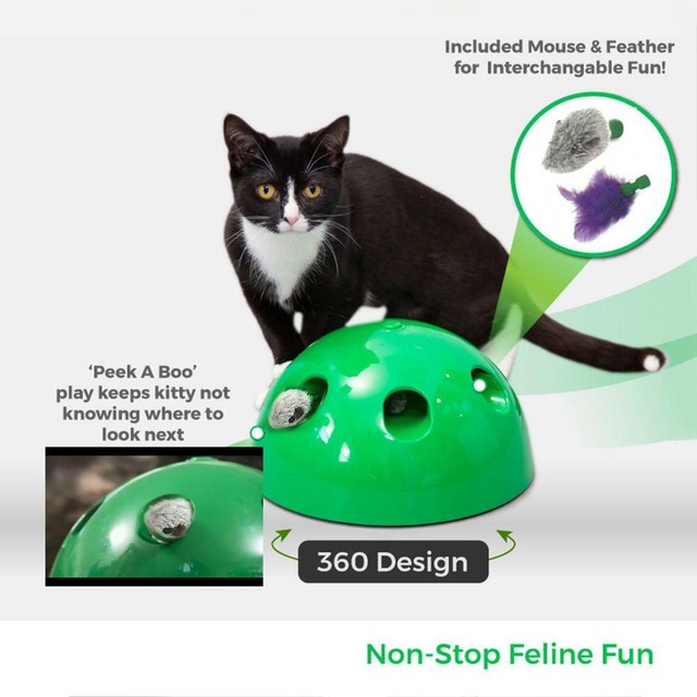 pop n play cat toy amazon