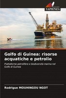 Rodrigue Mouhingou Ngot | Golfo Di Guinea: Risorse Acquatiche E Petrolio | Buch