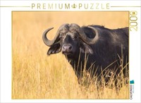 Calvendo Puzzle Cape Buffalo, Masai Mara, Kenya. | 2000 Pieces, Finished Size 35