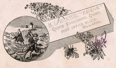 M. L. Morton Tailor Victorian Trade Card Taunton, MASS.-Cowboys-Bee-Flowers