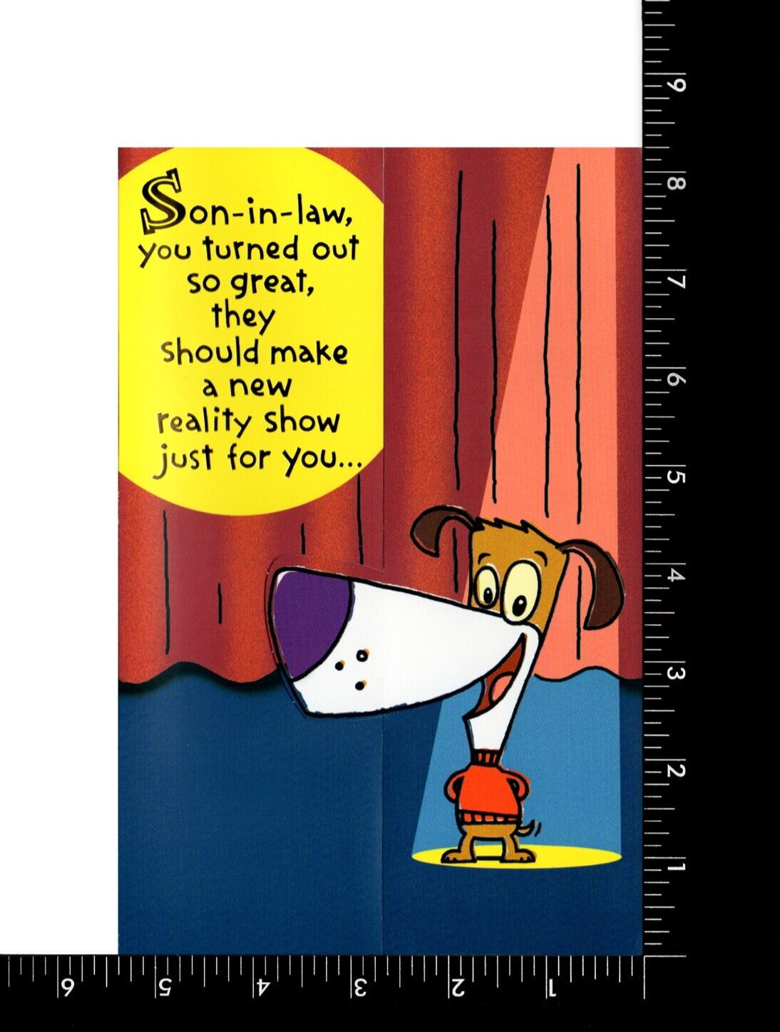 Funny BIRTHDAY Card FOR SONINLAW, Reality TV by American Greetings