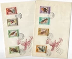 1962 HUNGARY BIRDS RAPTORS ON SUPERB FDCs