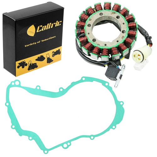 Stator & Gasket for Yamaha Big Bear 400 YFM400 2WD 4WD Realtree 2001 2002 - Foto 1 di 7