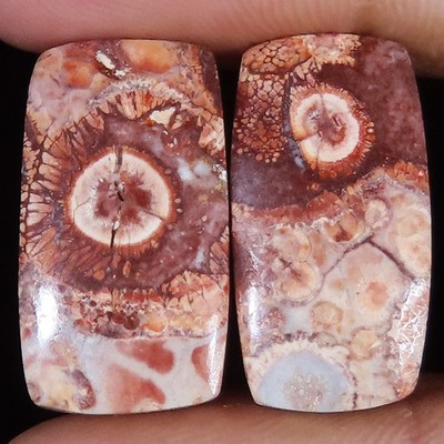 Natural Bird Eye Jasper Paar Cabochon Opaque 27,95 ct (12x22x4 mm) NEU