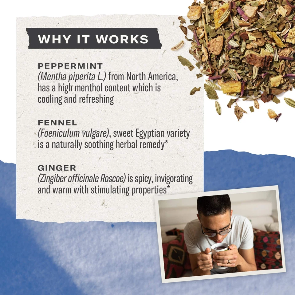 Té Orgánico Inmunidad Variedad Pack 16 Bolsas de Té Pack de 3 Saúco y Echina... Foto 2 de 4