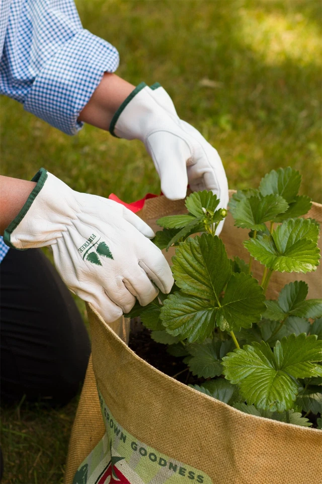 Garden Gloves Goatskin Leather By Fir Tree Brand - Image 4 of 4