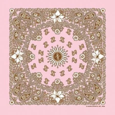 Carolina Creative Bandanna Pink Floral Paisley GS Print 22" x 22" Hav-A-Hank