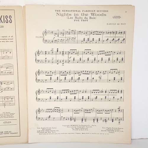 Antique 1923 Night In The Woods Sheet Music Fox Trot by Harold DeBozi - Picture 4 of 11