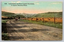 Montana Early Highway Brass Era Car Mt C1910s Postcard