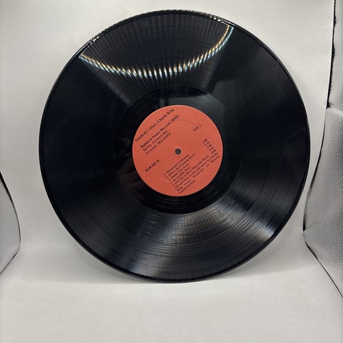 CHARLIE KING SOMEBODY'S STORY RAINBOW SNAKE RECORDS RSR002 MA. SSW 1979 - Bild 4 von 4
