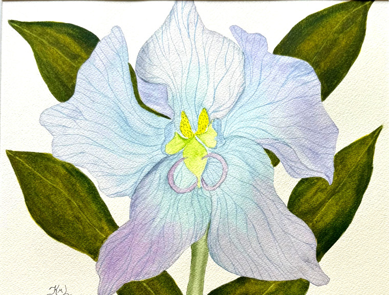 PAINTING WATERCOLOR 11X14 AND BLACK MAT 16X20 FLOWER ORCHID BLUE LAVENDER PINK