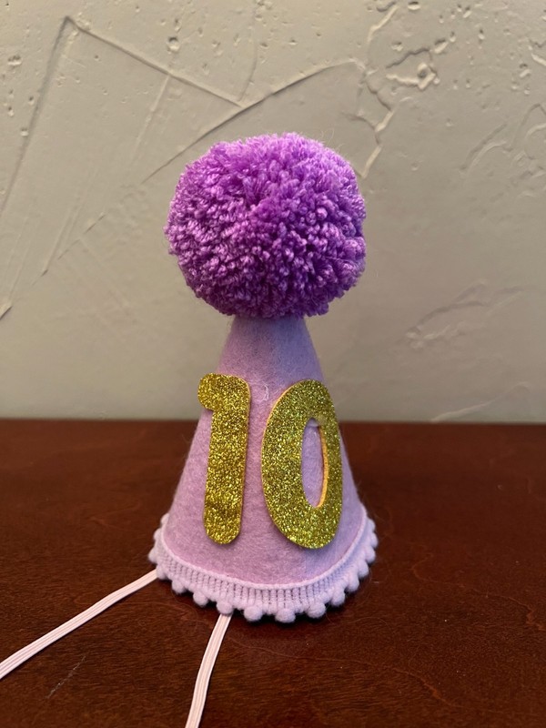 Dog 10th Birthday Hat Purple Pink Pom Pom Party Cap Adjustable Pet Costume
