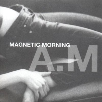 Magnetic Morning - A.M. SWERVEDRIVER INTERPOL CD NEU OVP
