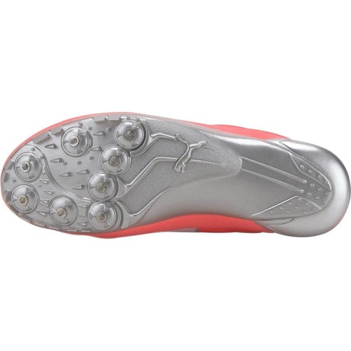 Puma evoSpeed Netfit Sprint 2 Zapatos para Pico Entrenadores Rosa | eBay